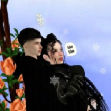IceNoia