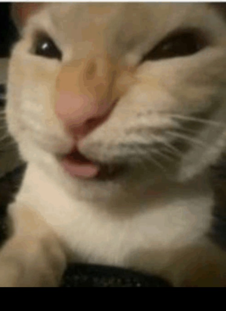 Guest_Nopperabo1