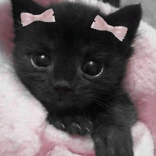 Guest_Imcherry