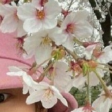 Guest_Daniela3049