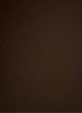 Guest_nutterjustin69xxx