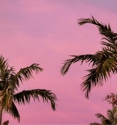 Guest_EmmaSmith3