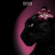 Guest_QUEENbiicth