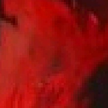 Guest_Gothdemon