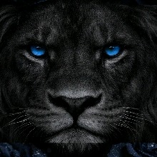 DarkPrince25