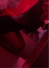Guest_Talia761975