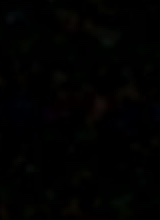 Guest_sarinaaa1
