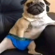 Guest_THiagoox