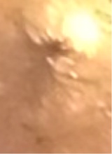 Guest_angelsdietoo4