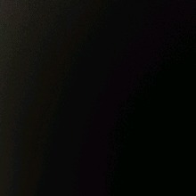 Guest_Lola904977