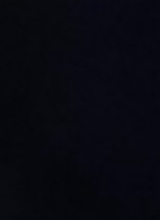 foto del avatar