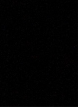 Guest_sky084