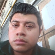 Guest_brandeiscanaryye3bc9