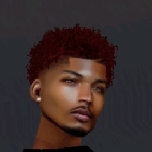 Guest_DRILL34