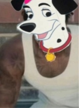 Guest_Sl33PYCookie