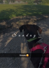 Guest_angelxx121
