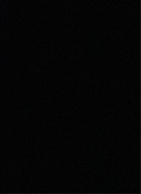 foto avatar