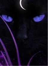 Guest_Roxie31