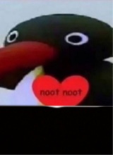 Guest_fwbfl3