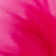 Guest_Ggigdr