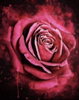 Guest_Rose23456