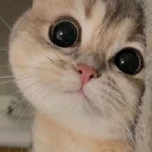 Guest_Caluu1