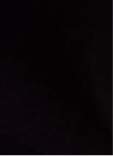 Guest_xoxofiregirl