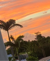 Guest_MauvaisDjo