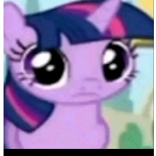 Guest_Flichwolf
