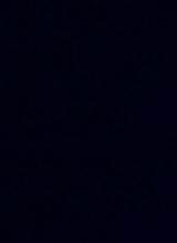 Guest_ZAMAYA340809