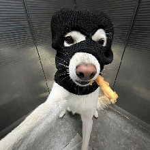 Guest_JDJAY1