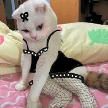 Guest_nors61