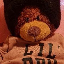 Guest_Bella975682