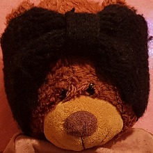 Guest_Bella975682