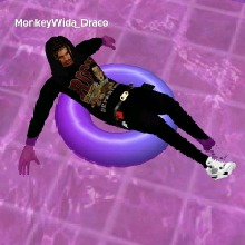 Guest_MonkeyWidaDraco