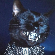 Avatar Bild