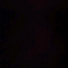 foto del avatar