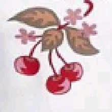 Guest_Daisy472360