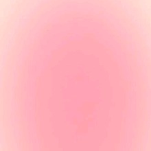 Guest_Zoe845541