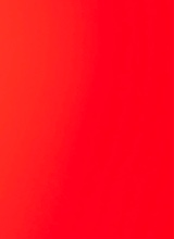 Guest_NataliLeonardo