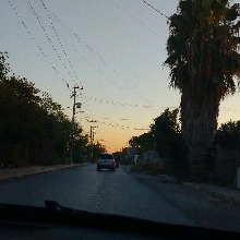 Guest_Vicky426049