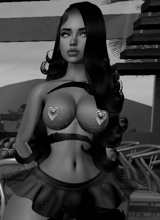 Guest_jay312083