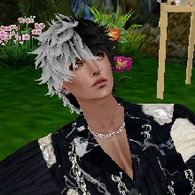 Guest_Al56691