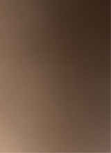 Guest_BrytanBechtold