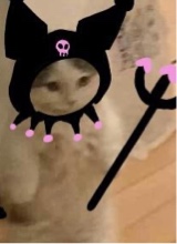 Guest_XxWolfiexX22