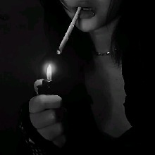 Guest_vrcx