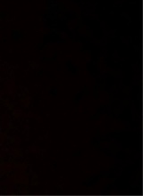 foto del avatar