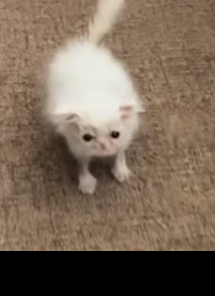Guest_foopy1
