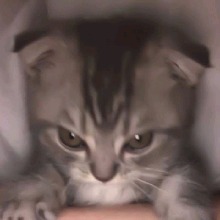 Guest_babyemdungkhocc