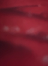 Guest_Shash24